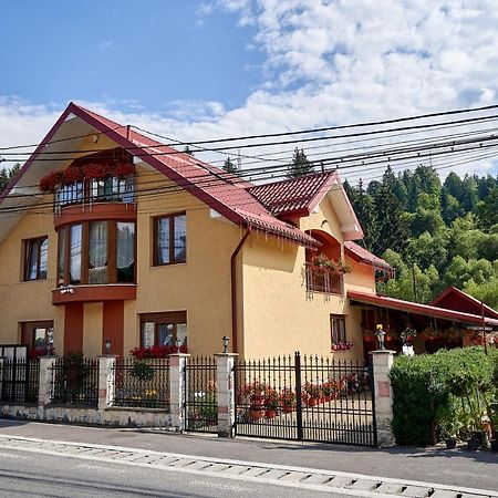 Готель Casa Cu Flori Мойсей Екстер'єр фото