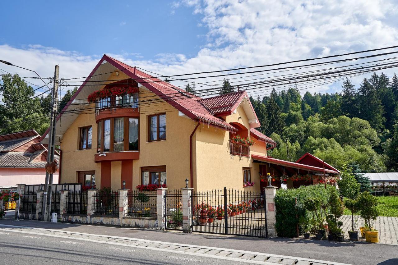 Готель Casa Cu Flori Мойсей Екстер'єр фото