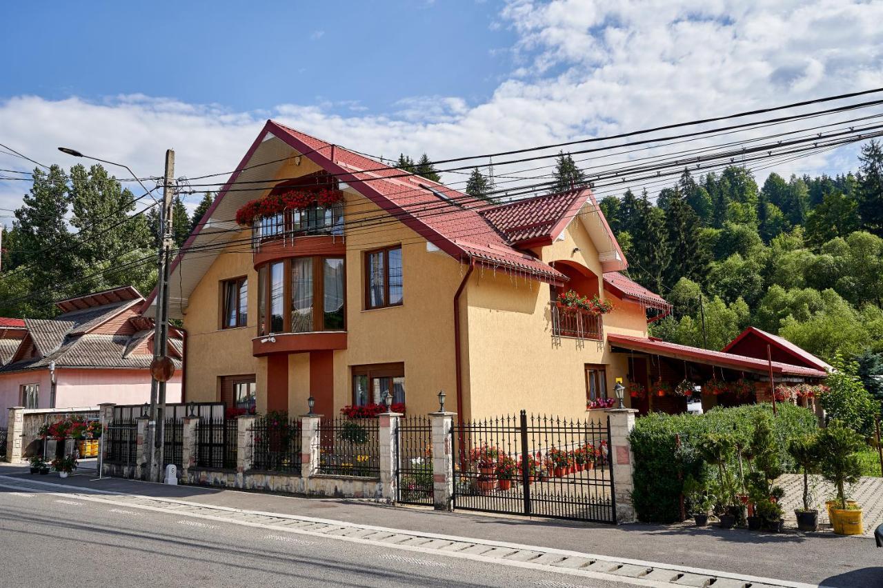 Готель Casa Cu Flori Мойсей Екстер'єр фото