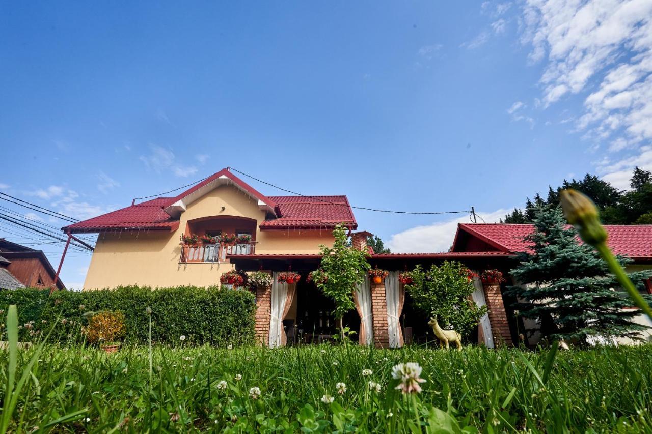 Готель Casa Cu Flori Мойсей Екстер'єр фото